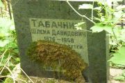 Табачник Шлема Давидовна, Москва, Востряковское кладбище